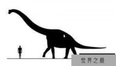 ​春雷龙：北美洲大型食草恐龙（长15米/蜥脚类恐龙）